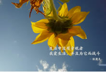 企业管理故事之-三只鸟的不同命运，你属于哪只鸟？